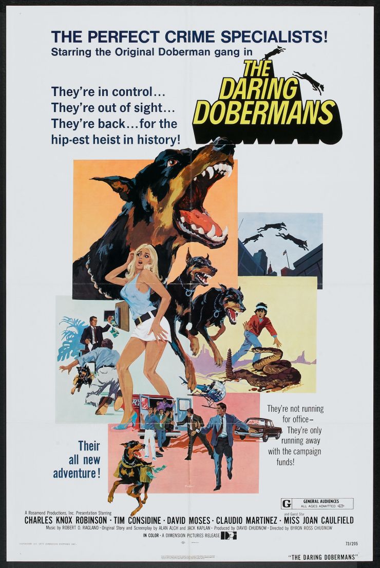 Daring Dobermans