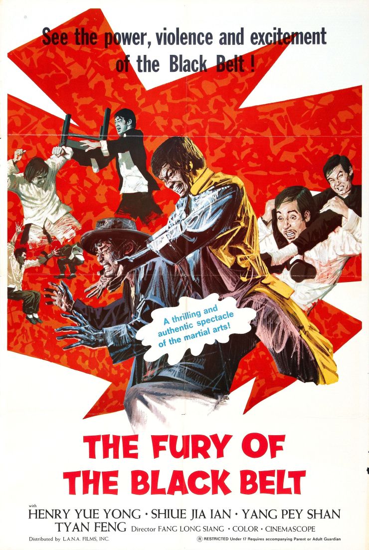 Fury Of Black Belt