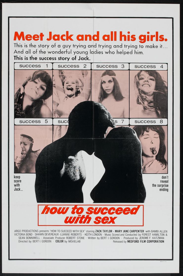 How To Succeed With Sex