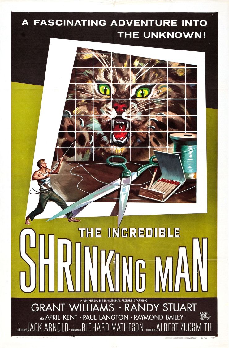 Incredible Shrinking Man