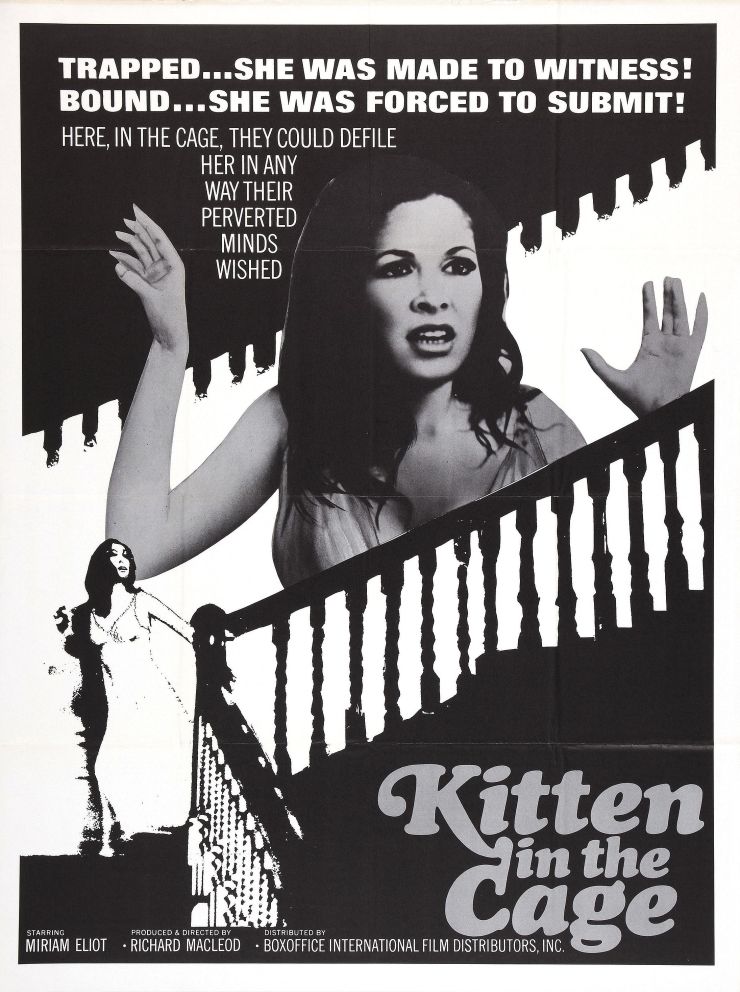 Kitten In Cage
