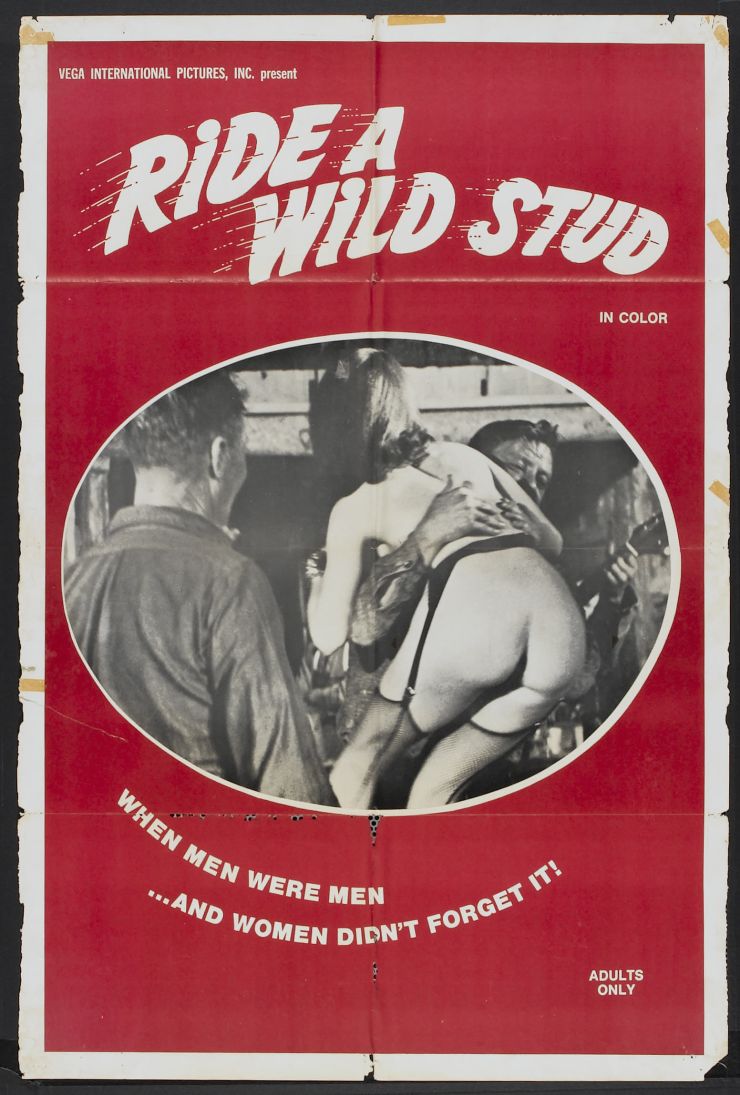 Ride A Wild Stud