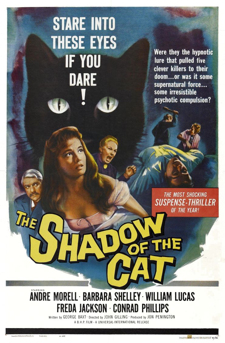 Shadow Of Cat