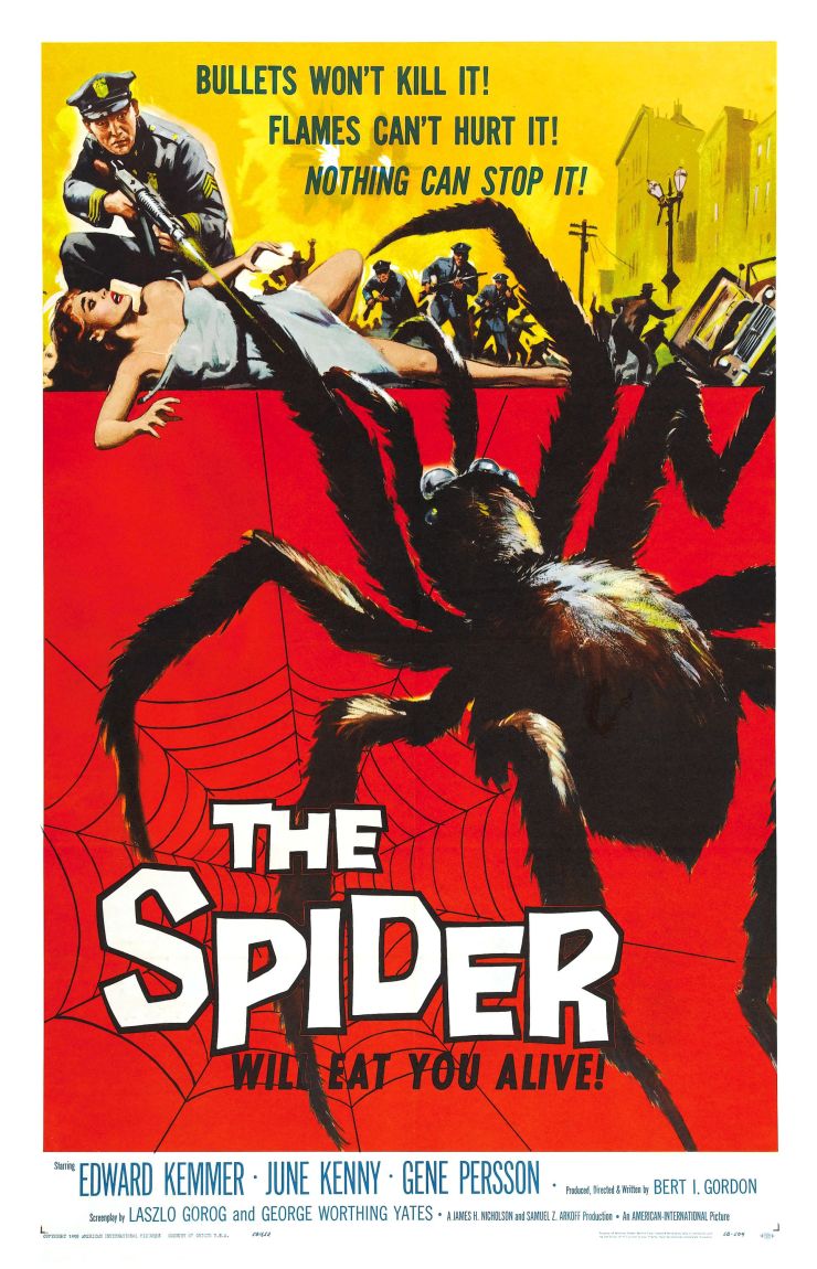 Spider