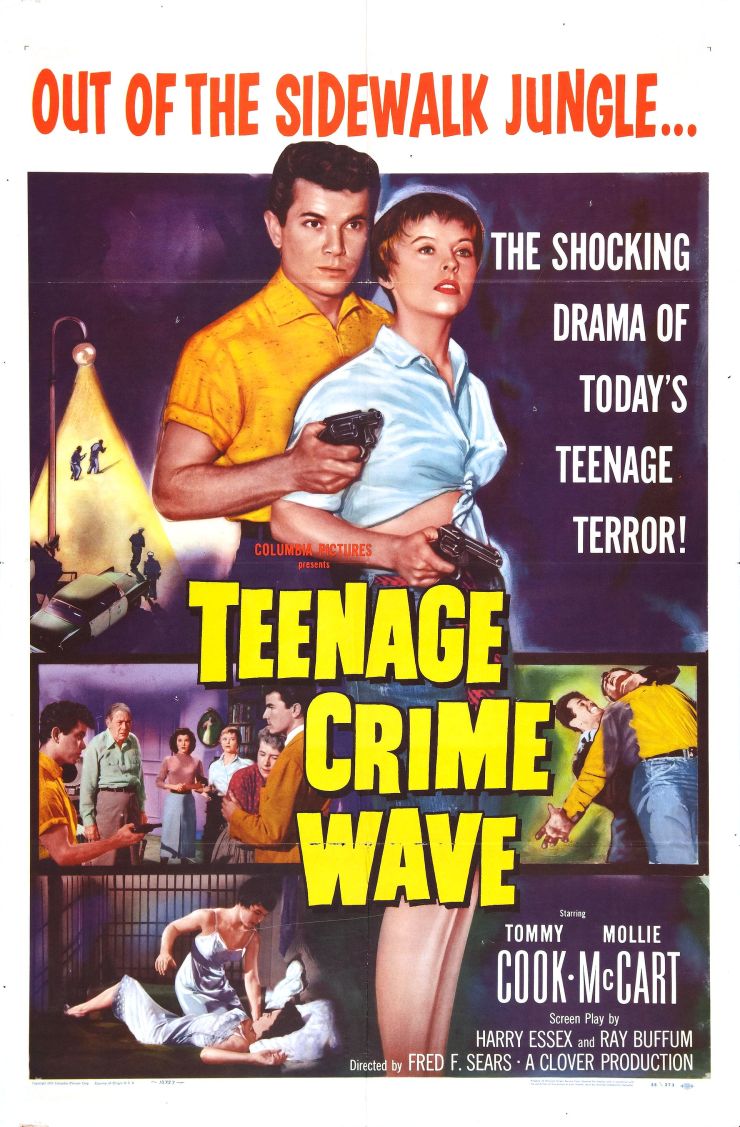 Teenage Crime Wave