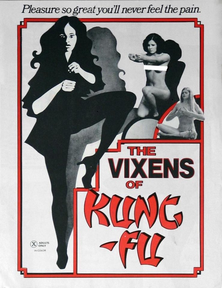 Vixens Of Kung Fu